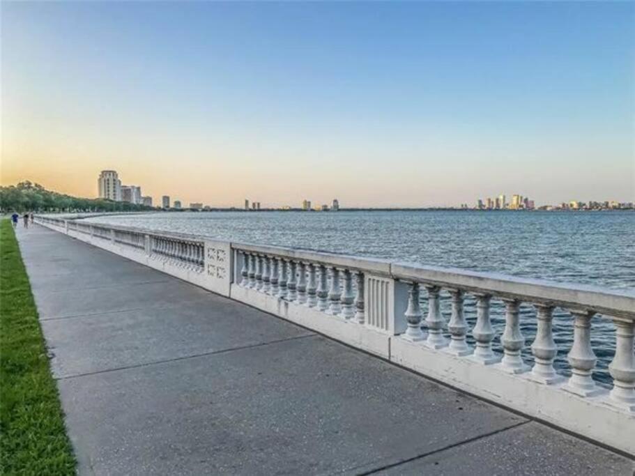Cozy Sanctuary Minutes From The Bay And Beaches Tampa Exterior photo